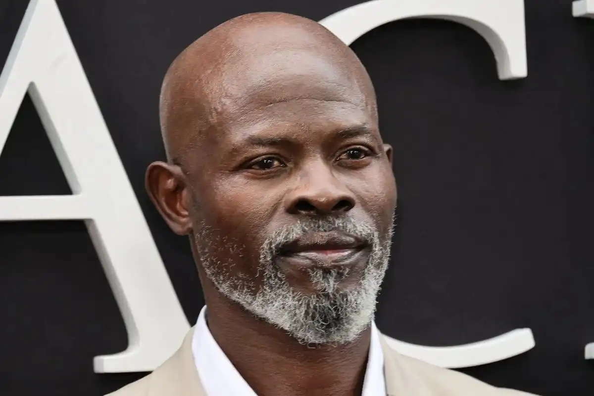 Djimon Hounsou